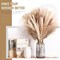75-Pack Dried Fall Pampas Grass – White & Brown Pampas, Bunny Tail, Reed, Fluffy Dried Flowers for Home, Wedding, Table, Vase, Boho & Modern Decor